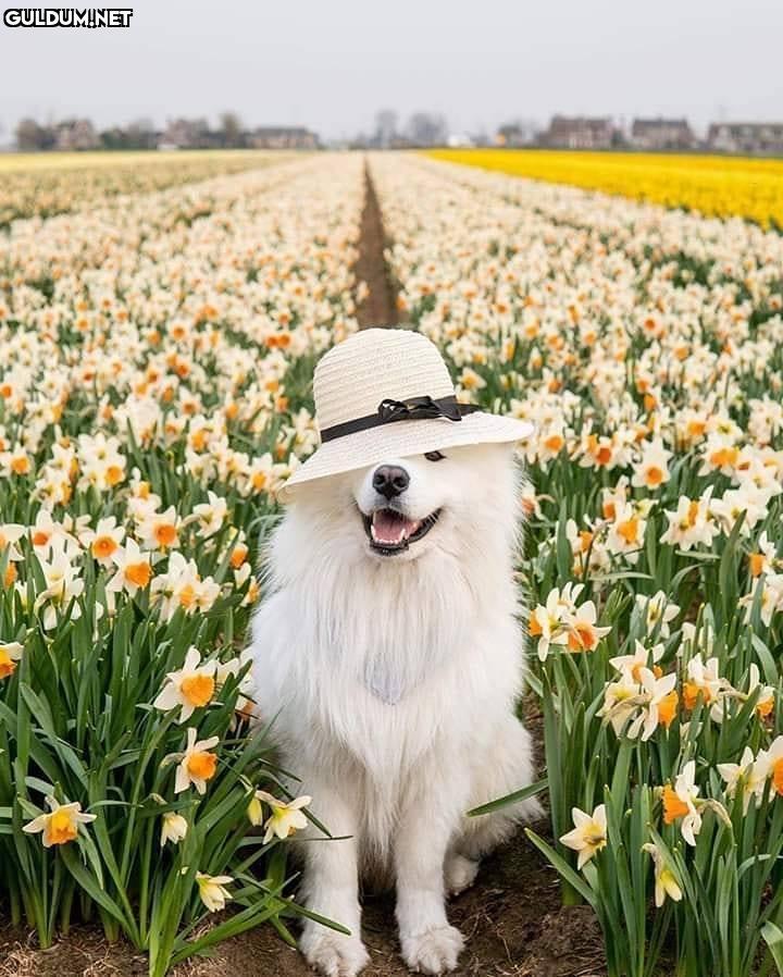 Günaydın 😊
-
📷...