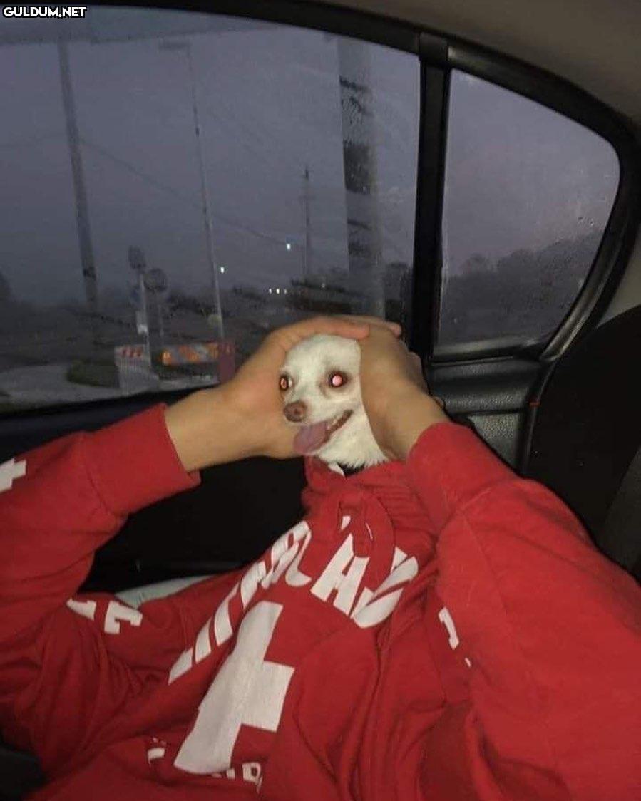 anlamsız fotoğraflar 8903...