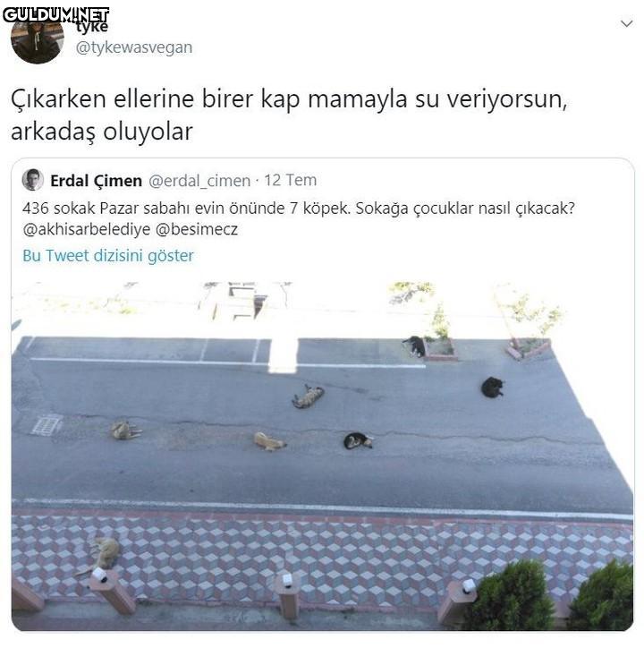 tyke @tykewasvegan...