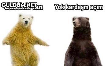Gelsene lan Yok kardeşm açım