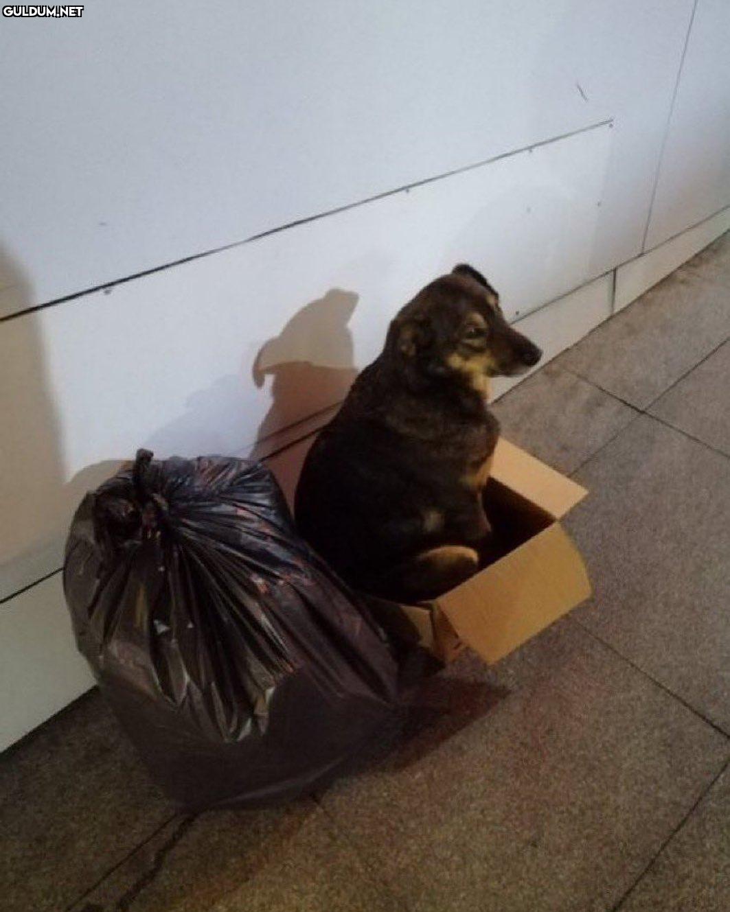 beni terk ettigin yerdeyim...