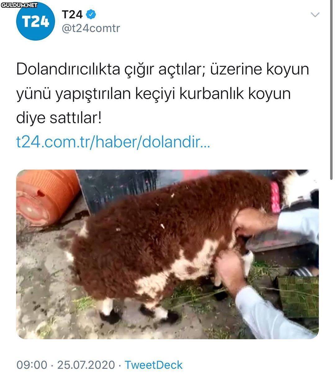 Abdurrahman Çelebi is that...