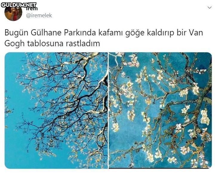 İrem @iremelek Bugün...