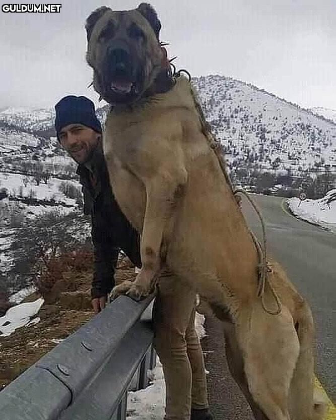 When your crush taller than you