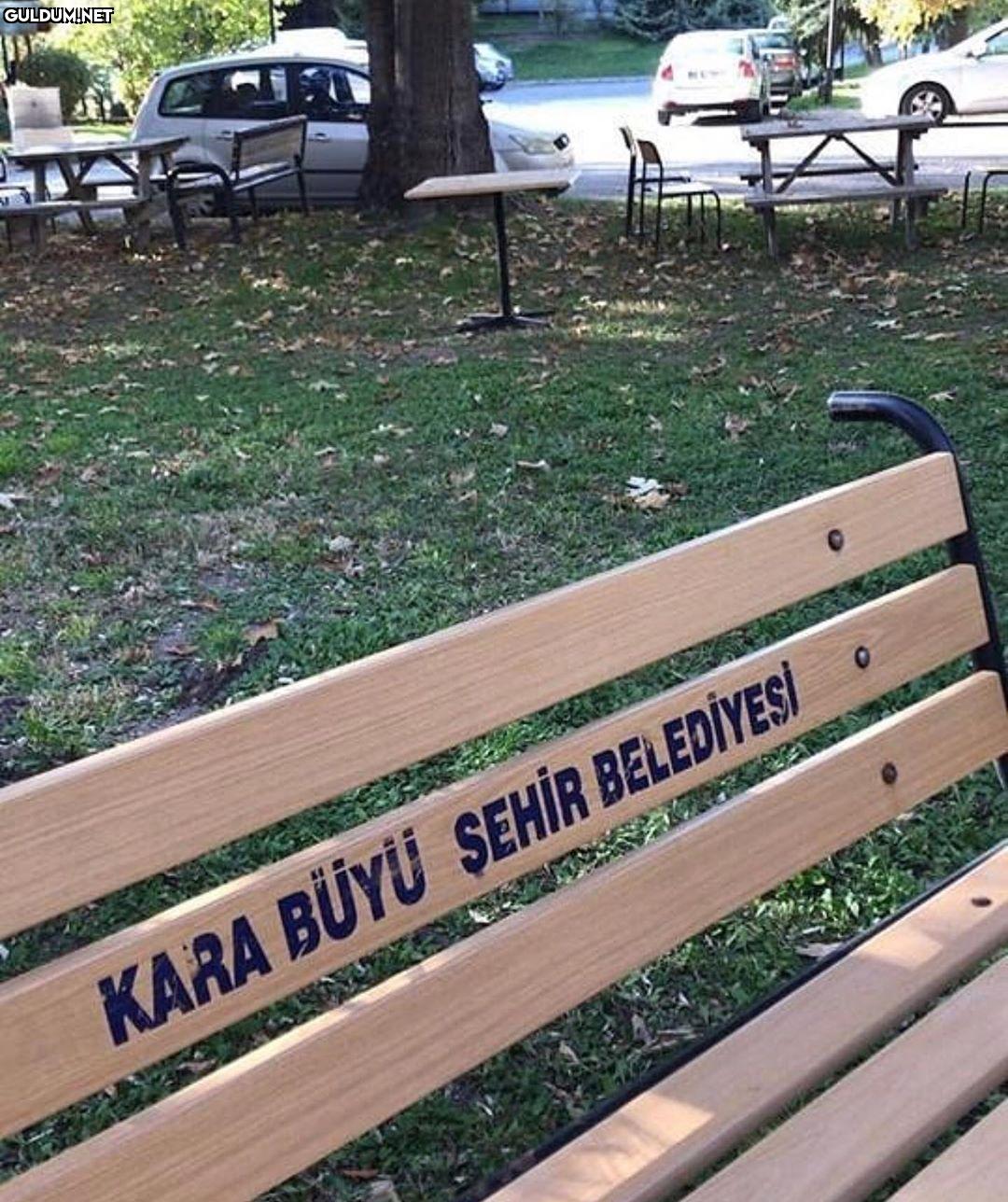Belediye başkanı Voldemort...