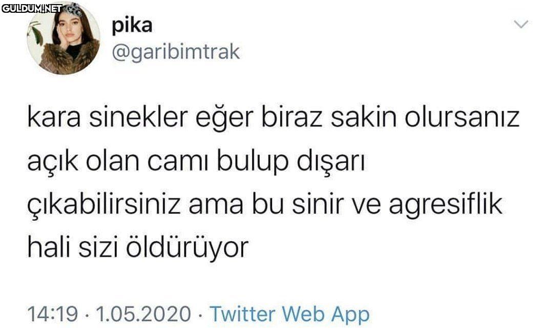 Tıpkı benim gibi.. pika...
