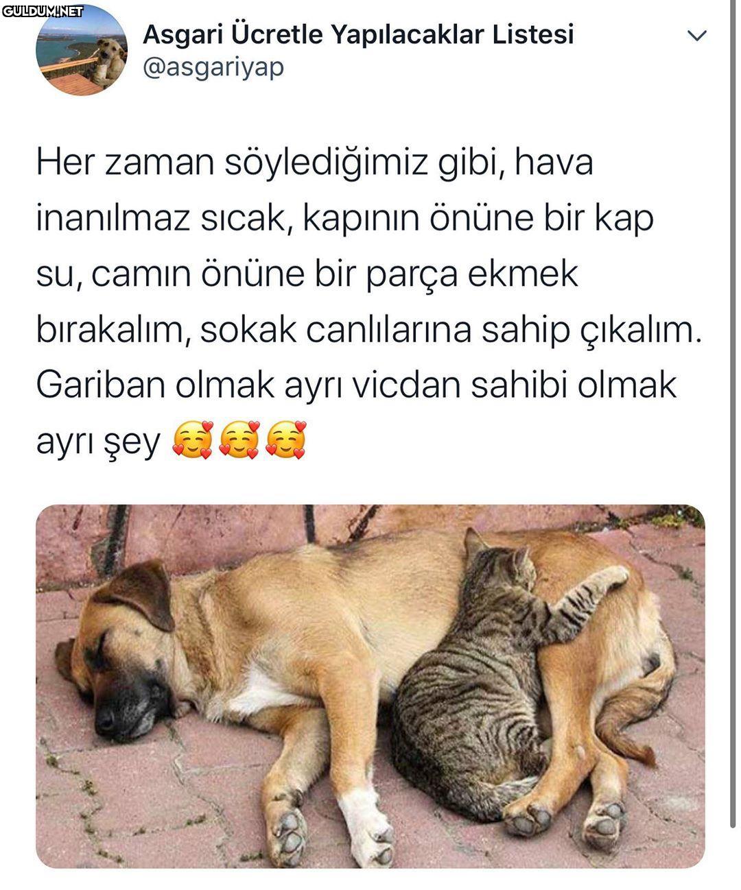 Asgari Ücretle...