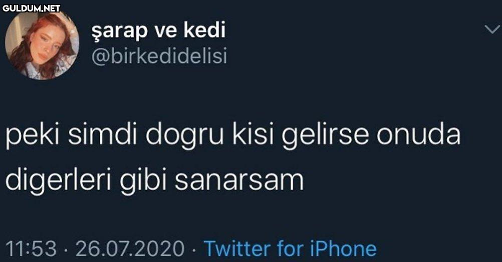 şarap ve kedi...