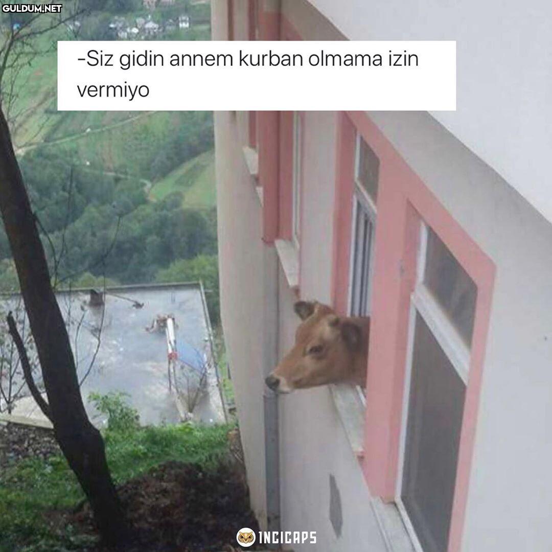 -Siz gidin annem kurban...