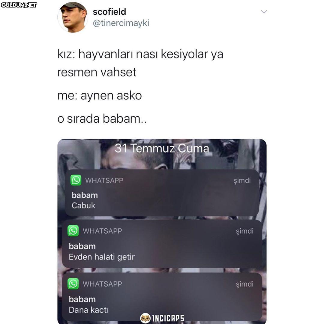 scofield @tinercimayki...