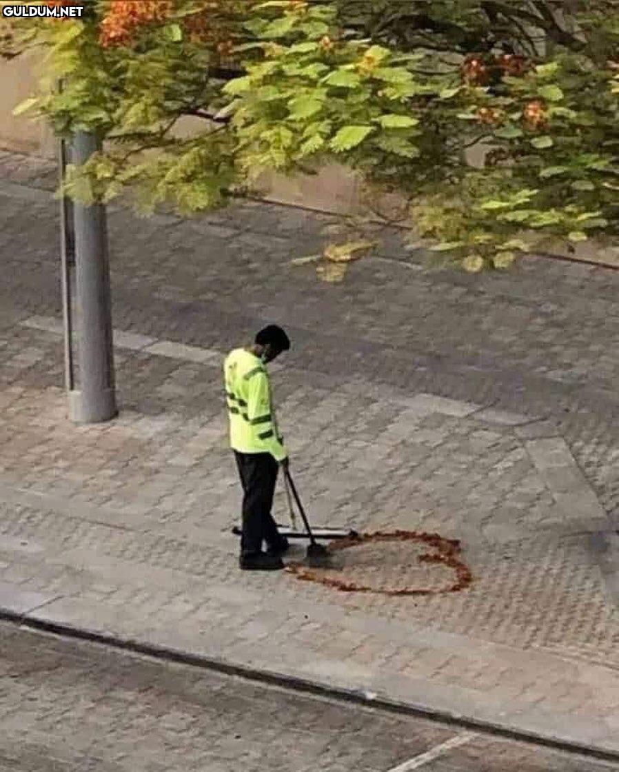 kör olası çöpçü is that you??