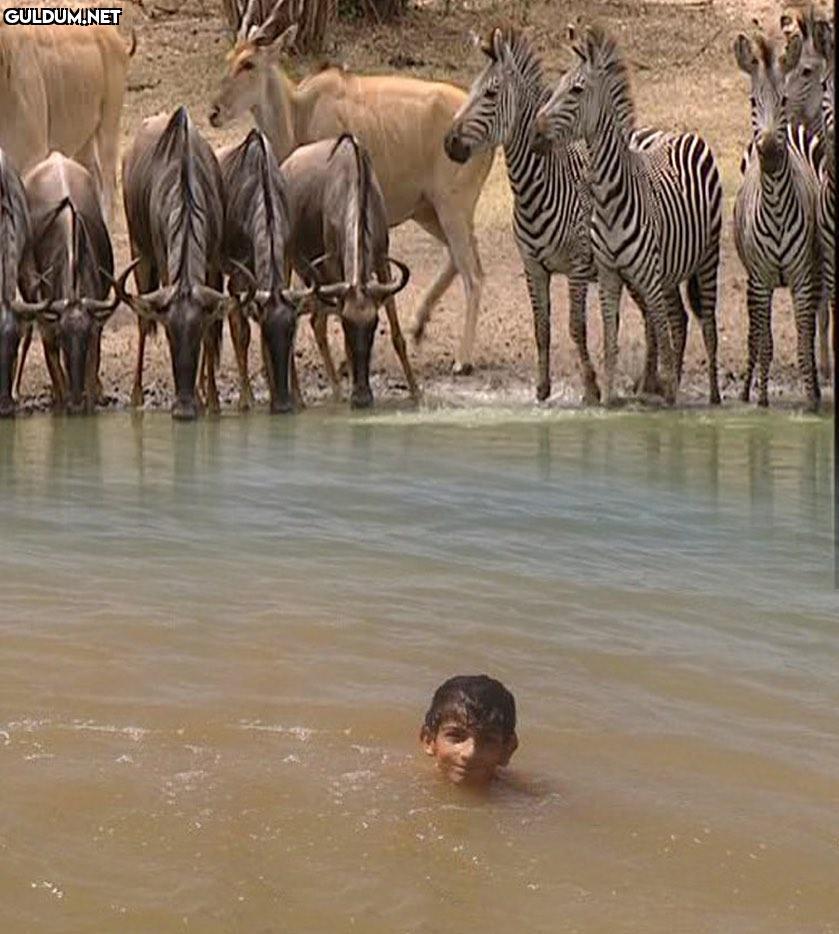 Afrika’da sıradan bir gün @satrayn1