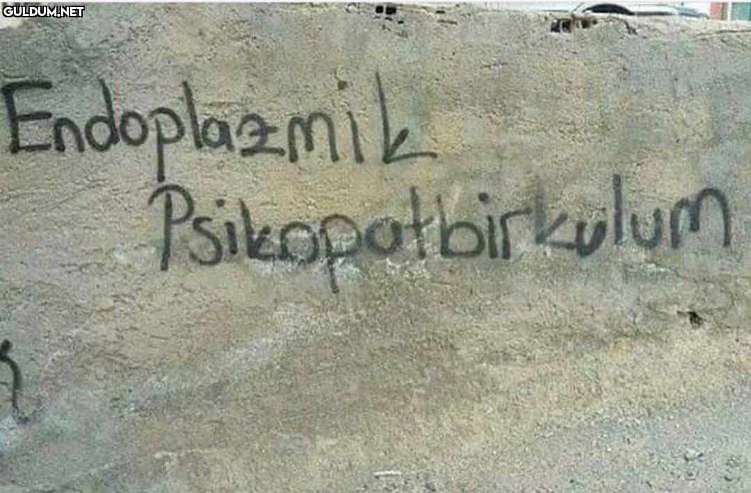 Endoplazmik nenvarguzum...
