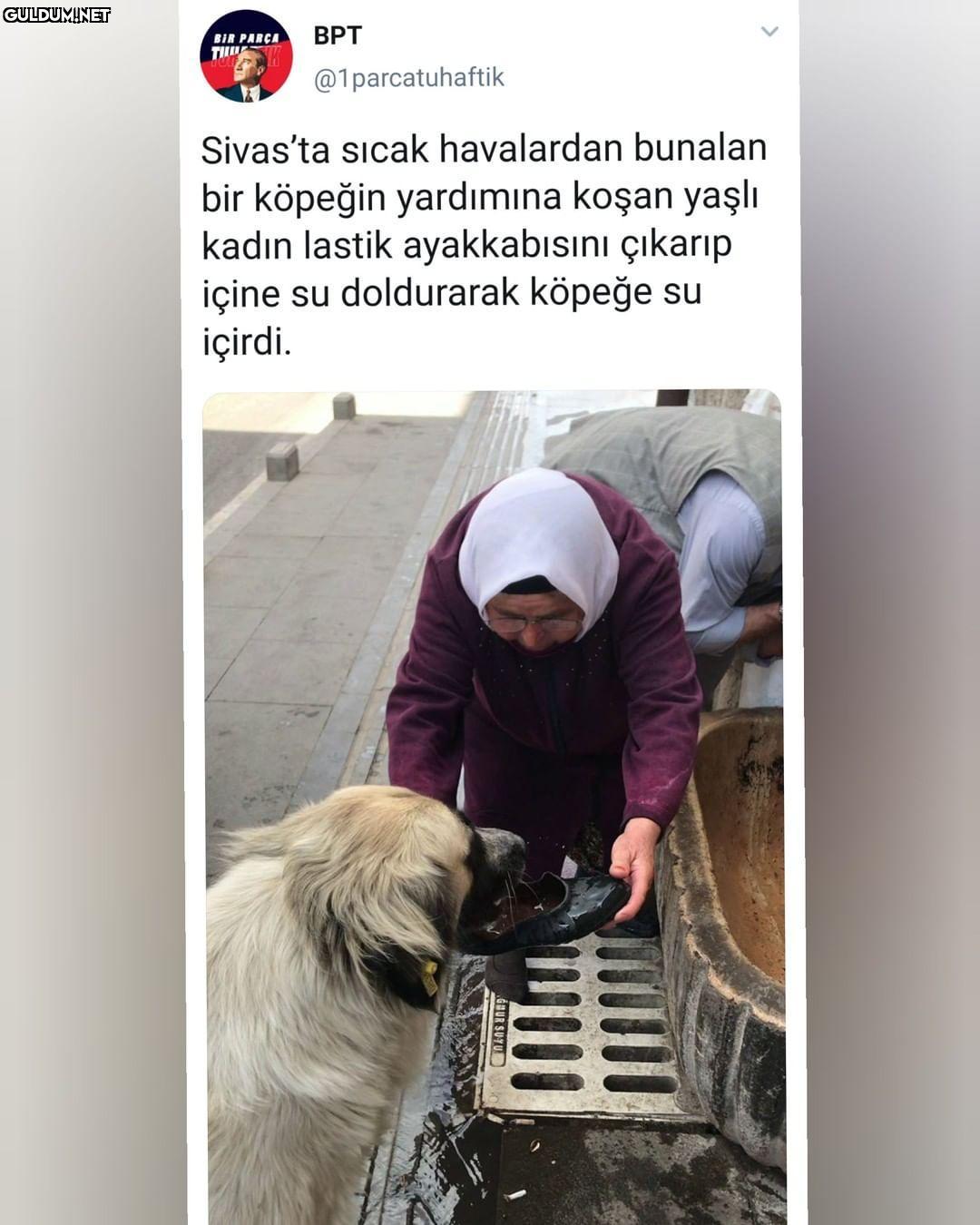 BİR PARÇA BPT...