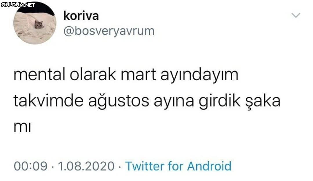 koriva @bosveryavrum...