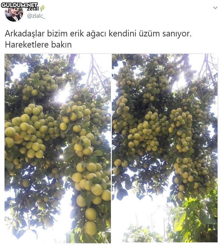 zelâl k @zlalc_ Arkadaşlar...