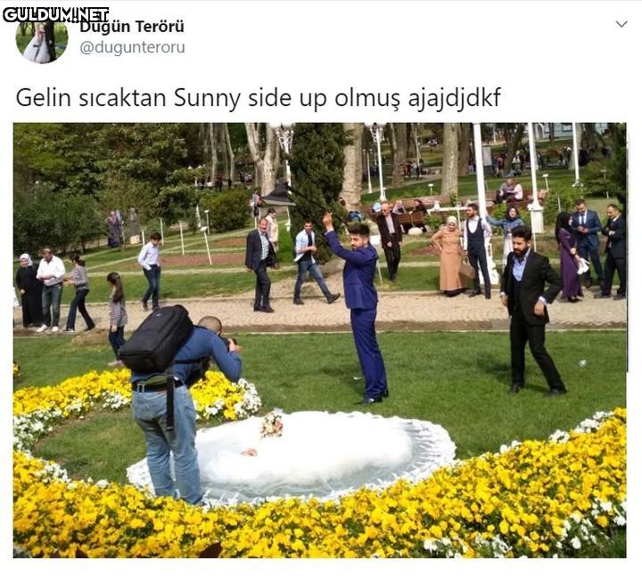Düğün Terörü @dugunteroru...