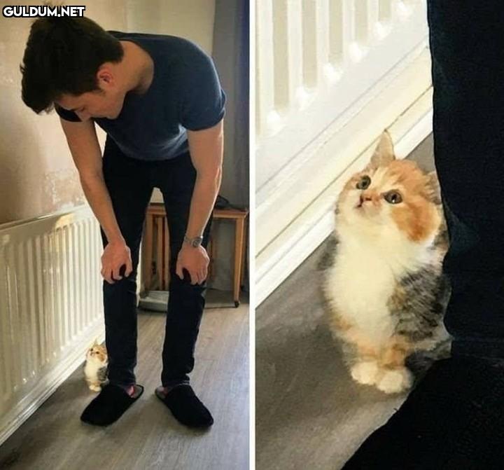 Günaydın 😊
-
📷 @maggie.moggy 
-