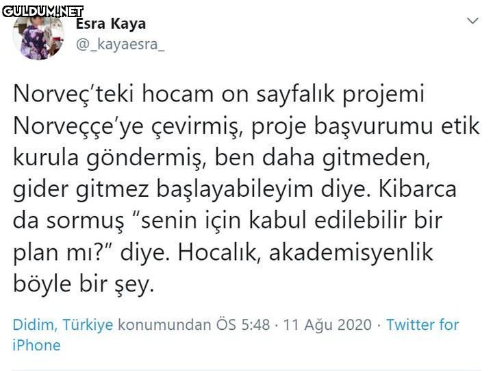 Esra Kaya @_kayaesra_...