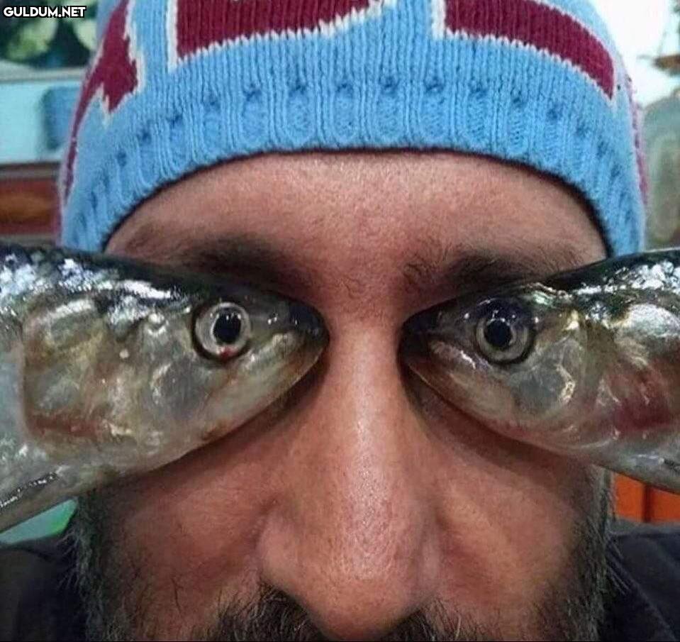 Hesabıma nakit gelince...
