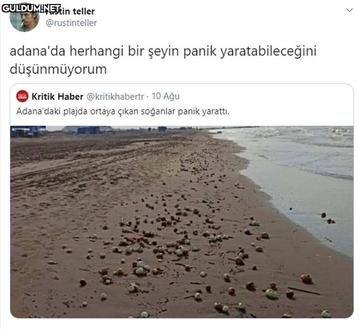 rustin teller...