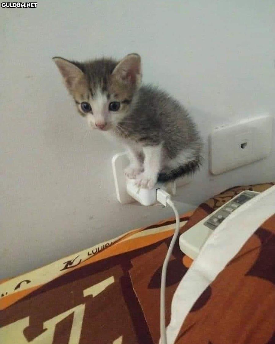 Annem: ayaklarını kaldır...