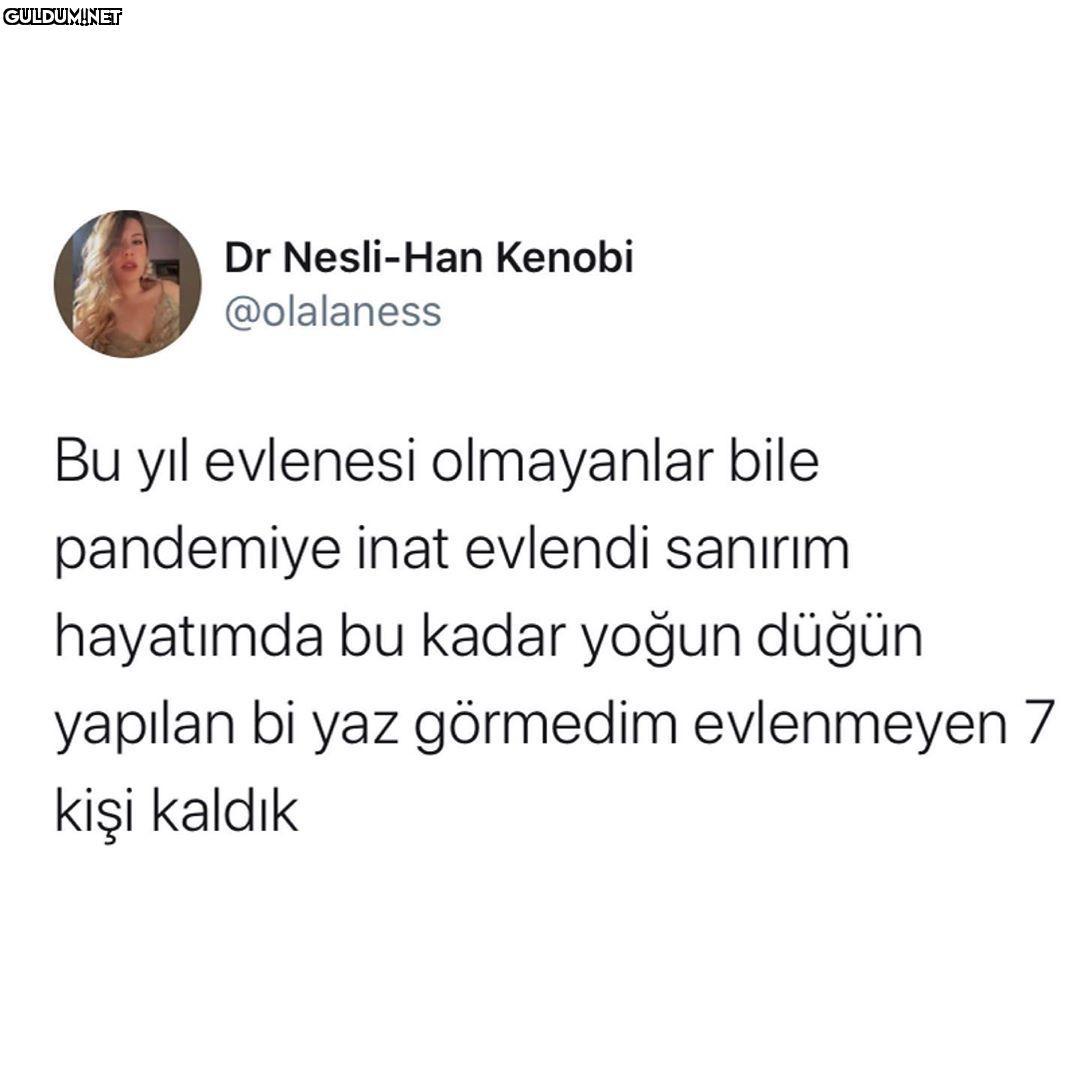 Dr Nesli-Han Kenobi...