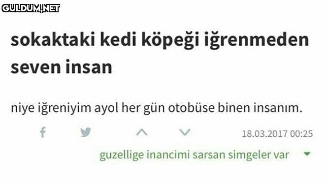 sokaktaki kedi köpeği...