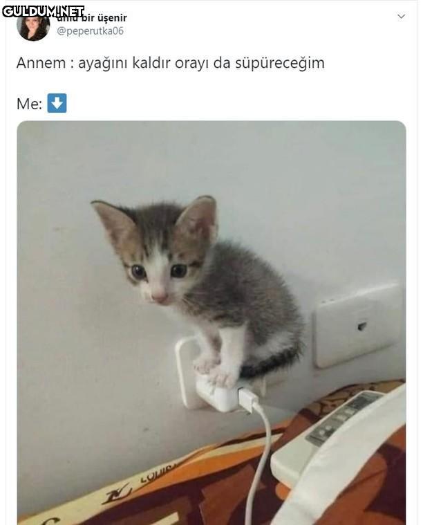 ünlü bir üşenir...
