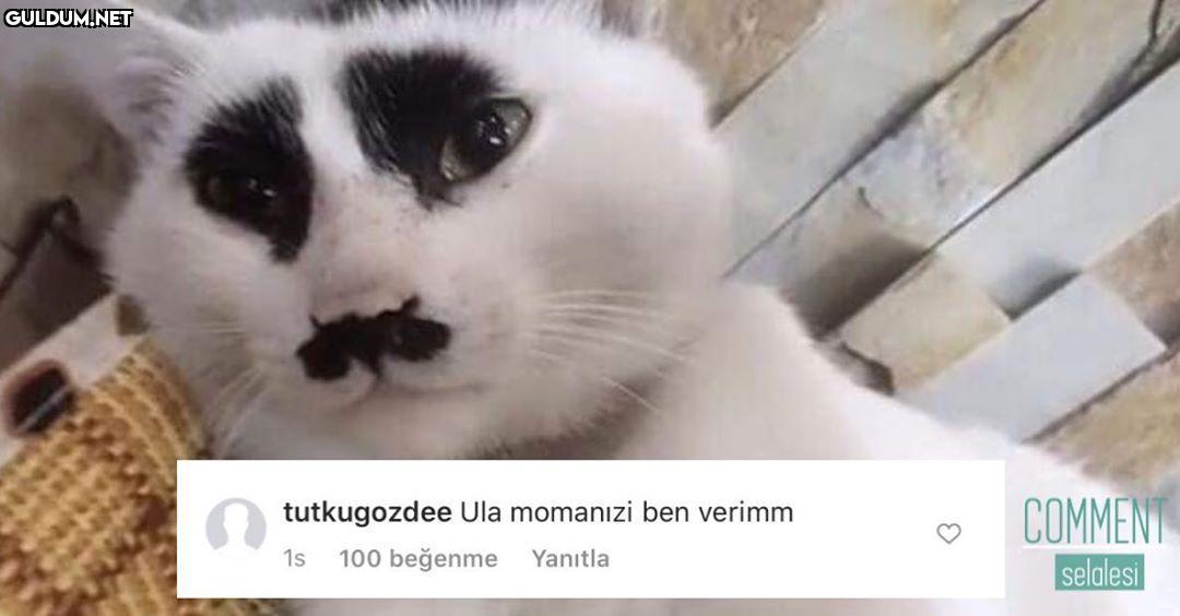 comment şelalesi 781...