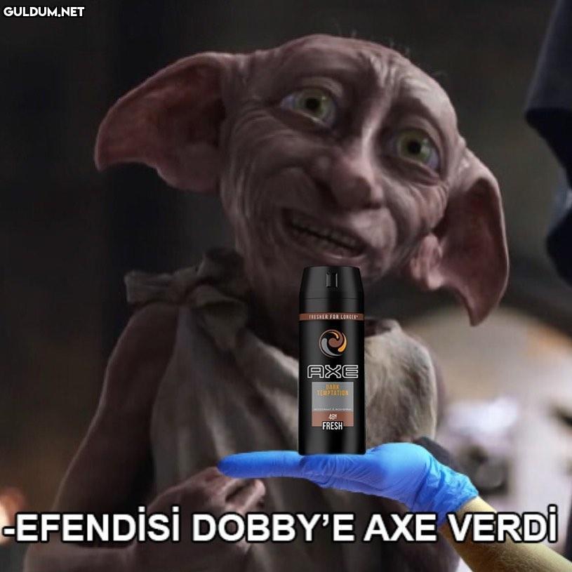 Dobby gibi bi arkadaşımız...