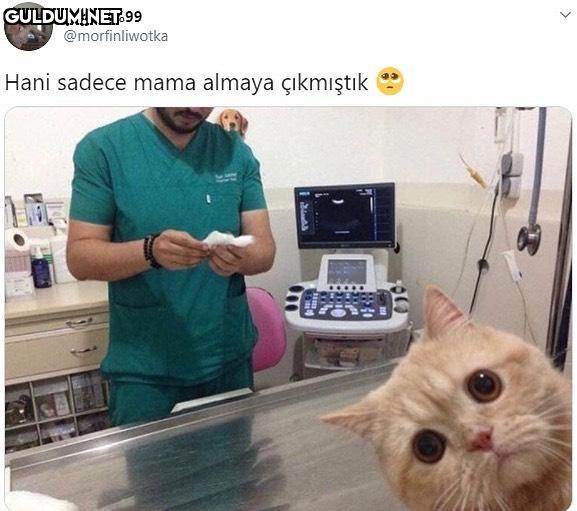Şarjım %99 @morfinliwotka...