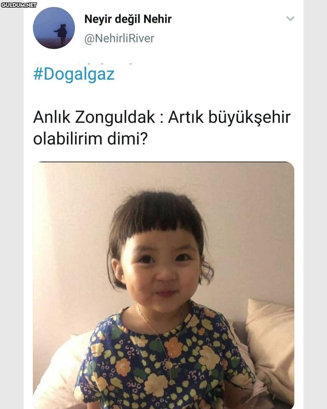 30 büyükşehir ve zonguldak...