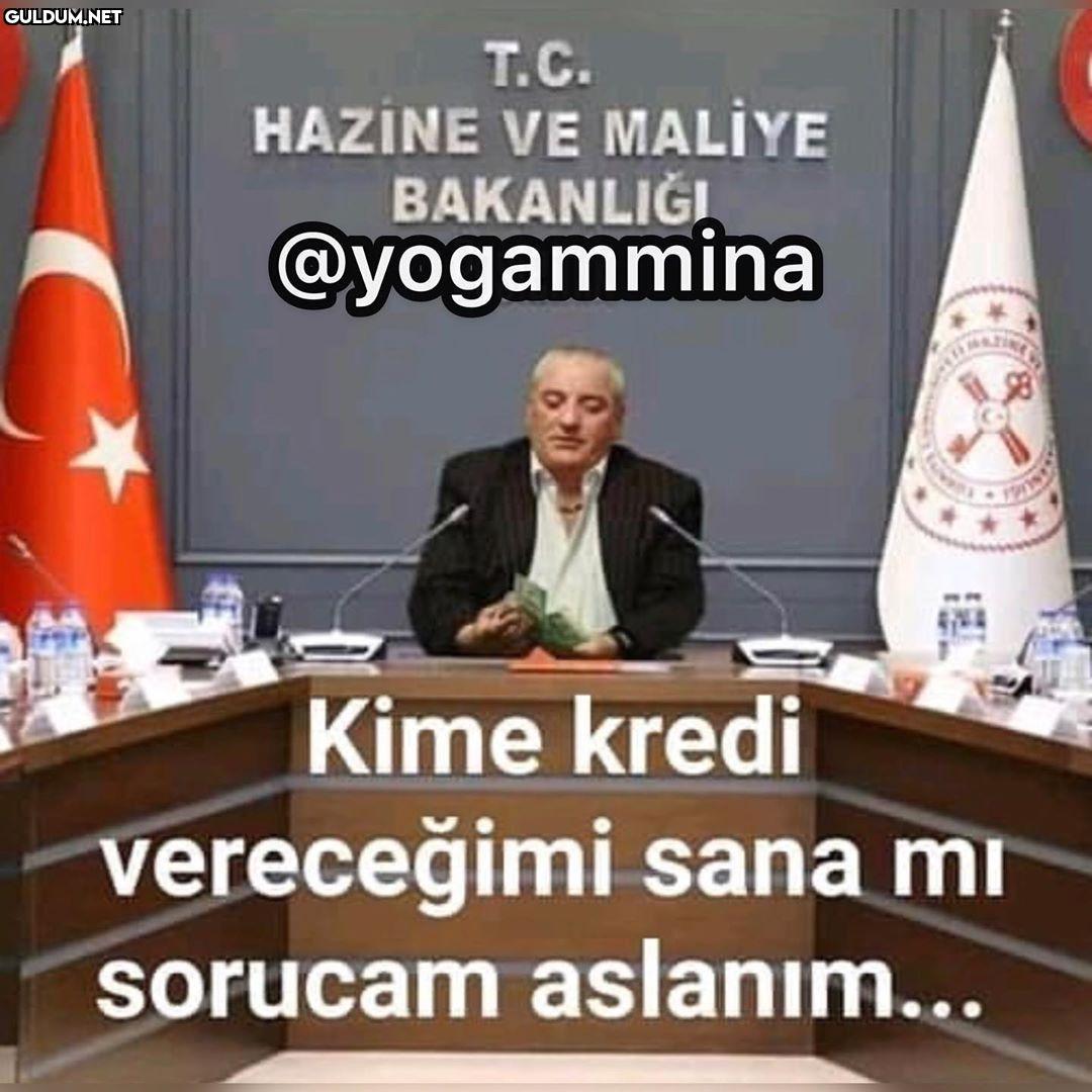 T.C. HAZİNE VE MALİYE...