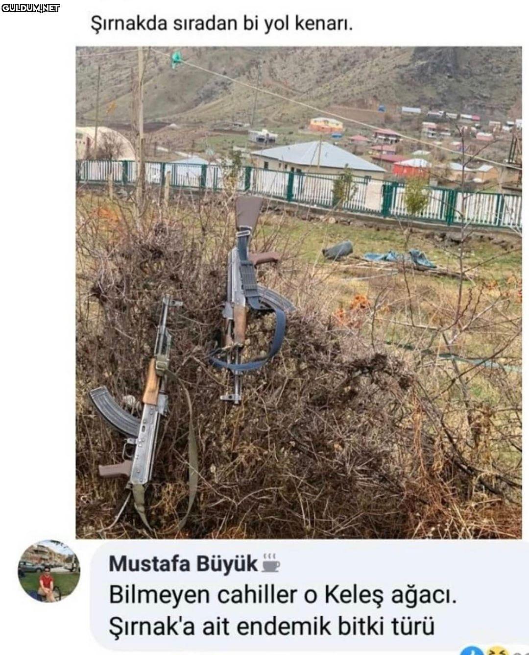 Kim milyoner olmak...