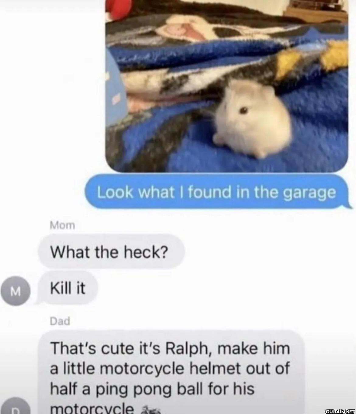 Mom Look what I found in...
