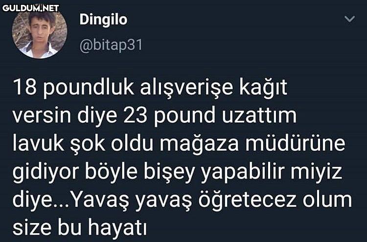 Dingilo @bitap31 18...