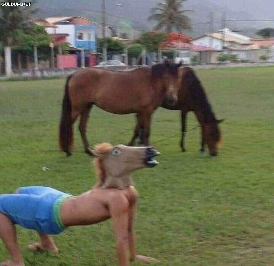 anlamsız fotoğraflar 4671