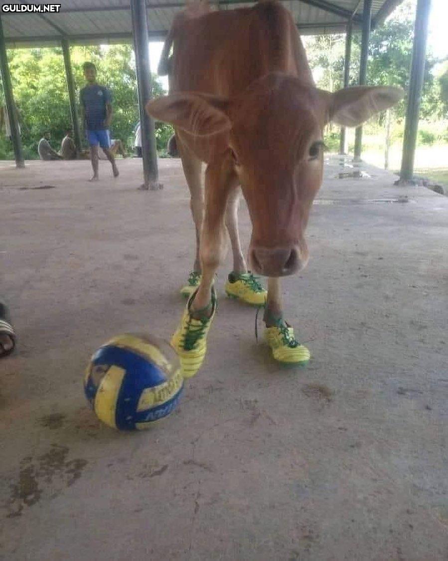 anlamsız fotoğraflar 28393...