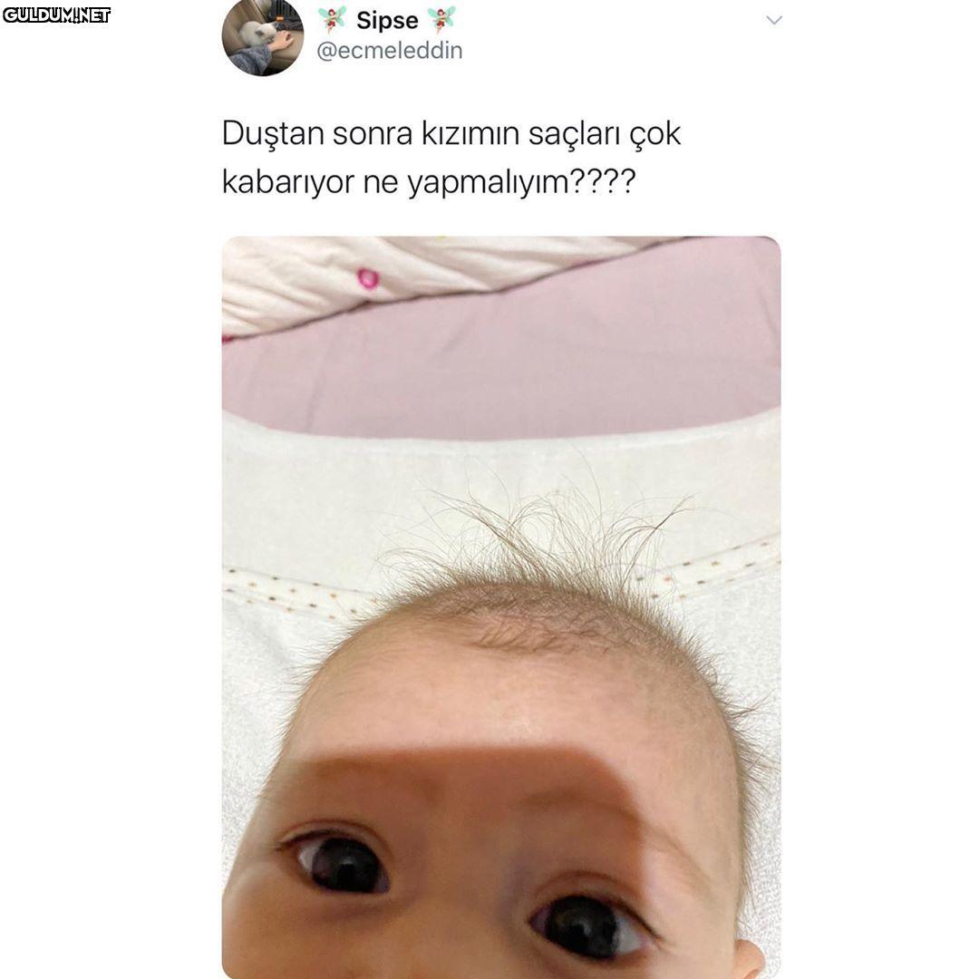 Sipse @ecmeleddin Duştan...