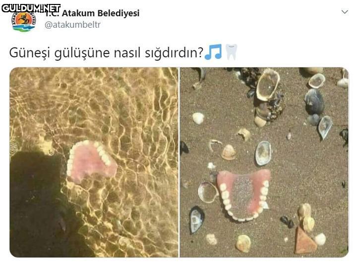 T.C. Atakum Belediyesi...