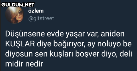 https://t.co/8qqdE7PtHN...