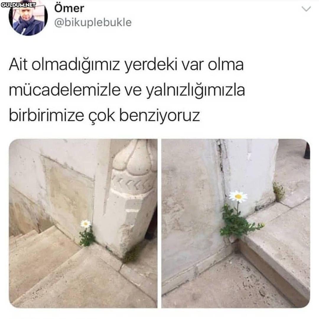 Ömer @bikuplebukle Ait...