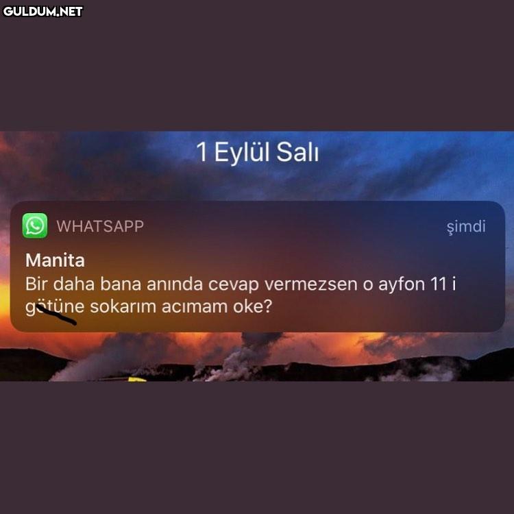 1 yeni mesaj 1 Eylül Salı...