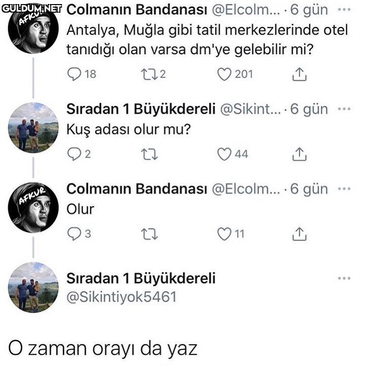 Skdjdjdkxjdndkjdjkdx...
