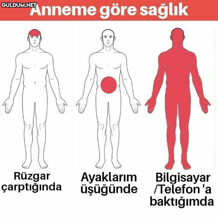 az baksaydın telefona...