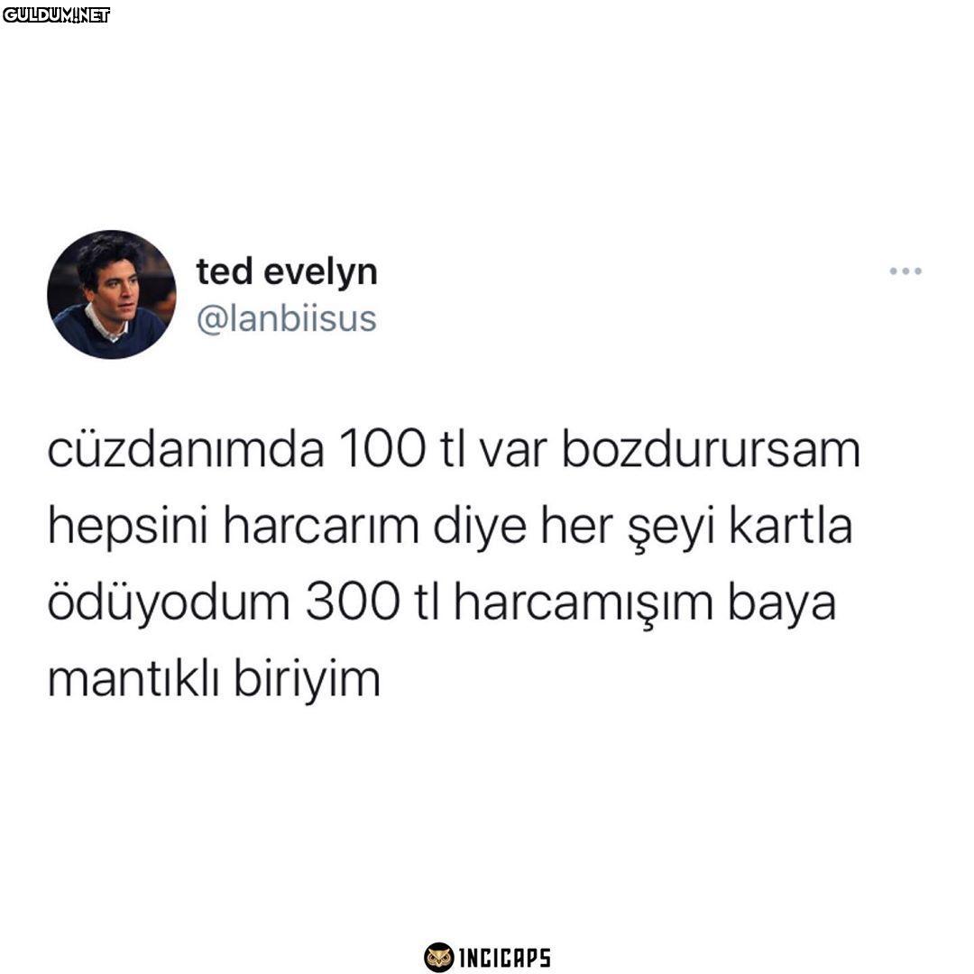 ted evelyn ... @lanbiisus...