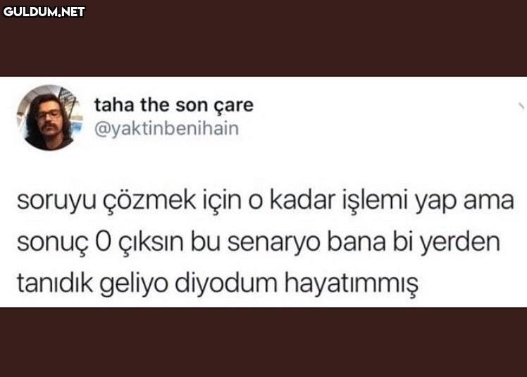 taha the son çare...