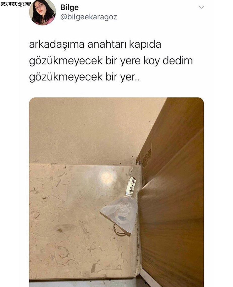 gizlilik 100 Bilge...