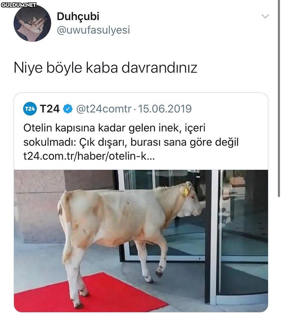 Duhçubi @uwufasulyesi L...